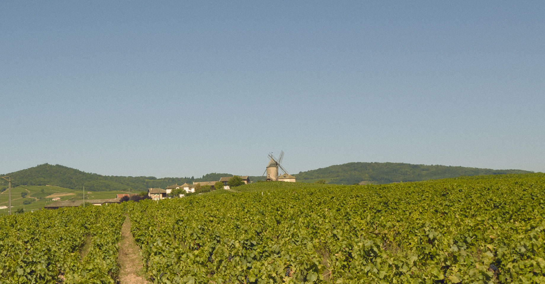 Maison Le Nid
