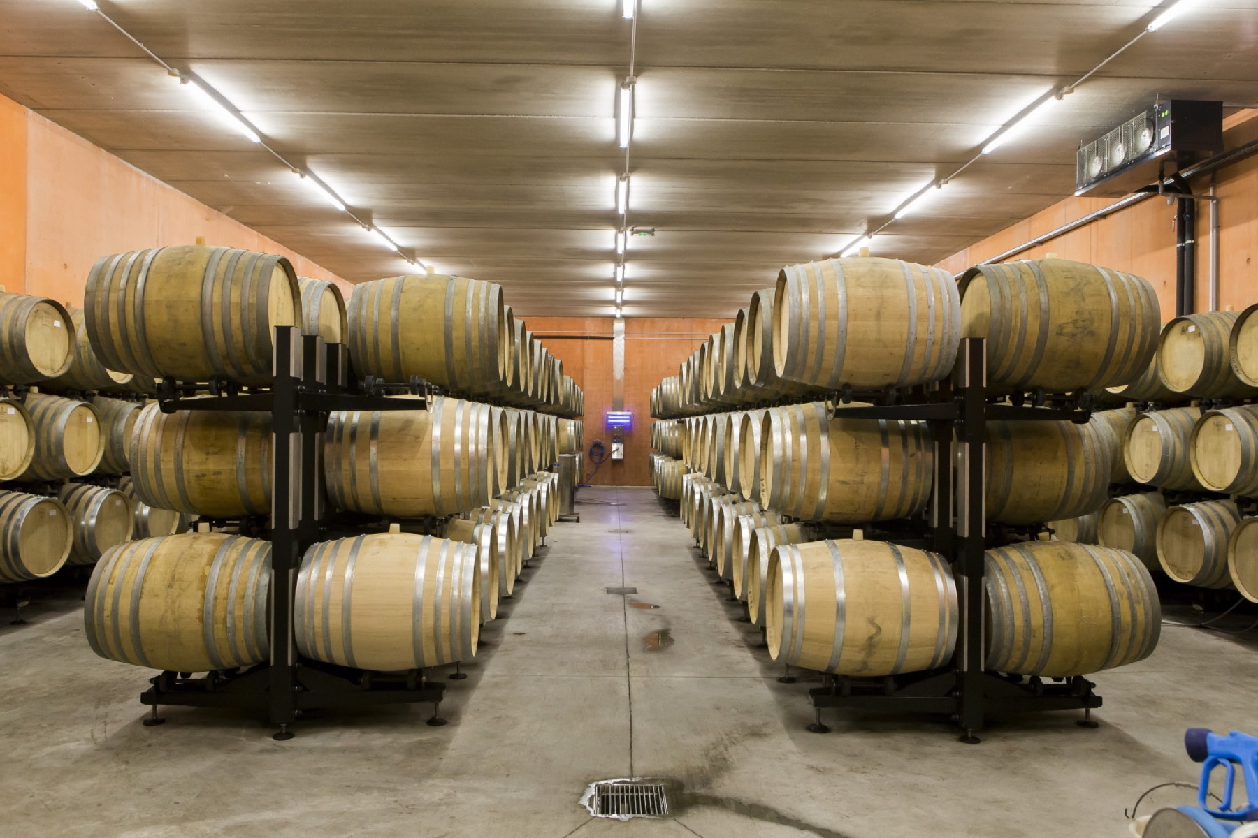 Yves Cuilleron barrel ageing cellar
