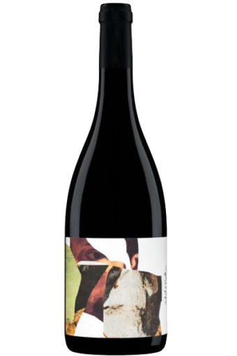 Aubert et Mathieu Terrasses du Larzac 2018