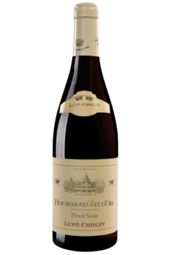 Lupé-Cholet Bourgogne Côte d’Or Pinot Noir 2020