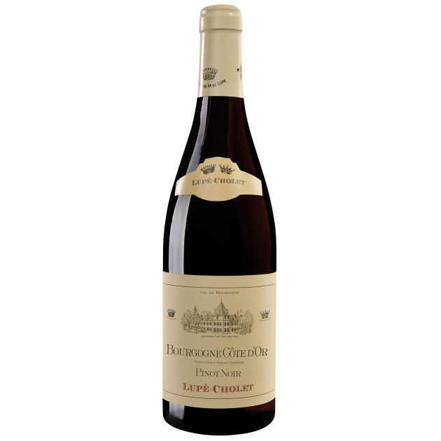 Lupé-Cholet Bourgogne Côte d’Or Pinot Noir 2020