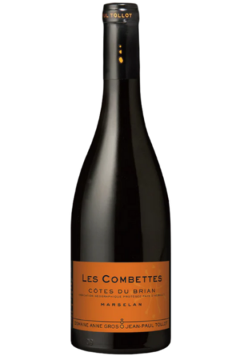 Domaine Anne Gros Jean-Paul Tollot Côtes du Brian Les Combettes 2022